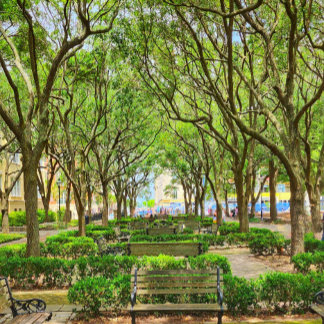 Downtown Charleston, SC Building Poster