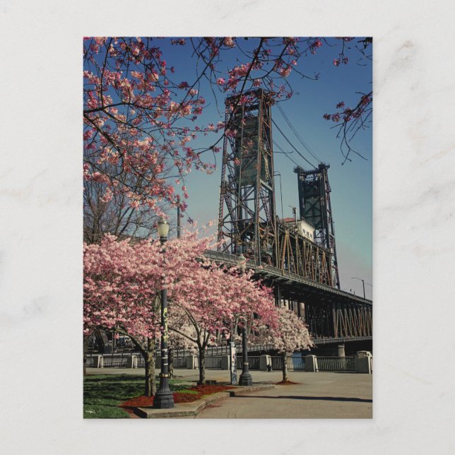 Downtown Portland Bridge | Cherry Blossom Postcard (Front)