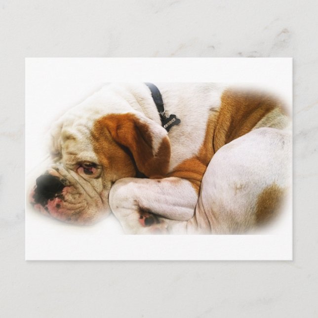 Downward Dog Postcard (Front)