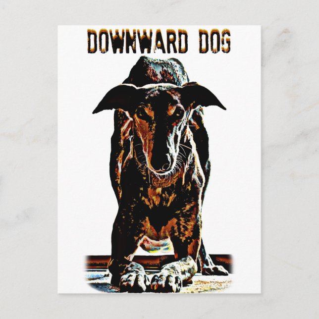 Downward Dog Postcard (Front)