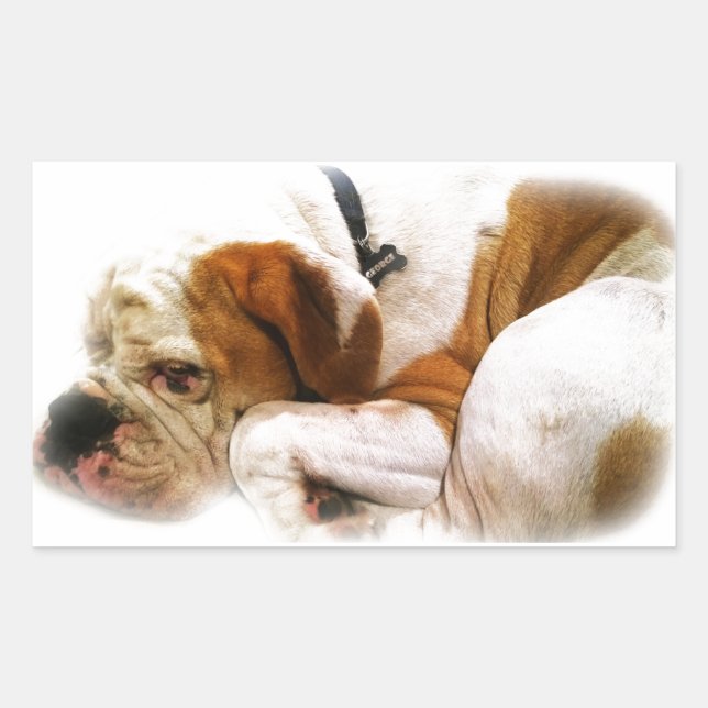Downward Dog Sticker (Front)