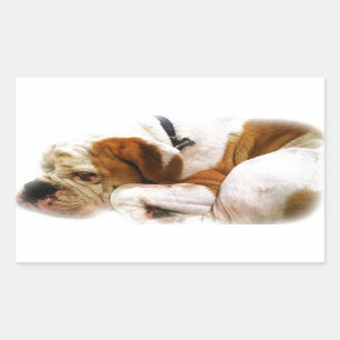 Downward Dog Sticker