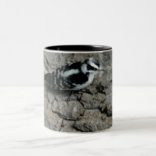 Downy Woodpecker Black 11 oz Two-Tone Mug