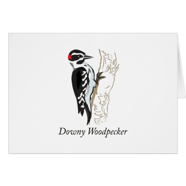 Downy Woodpecker Illustration (Front Horizontal)