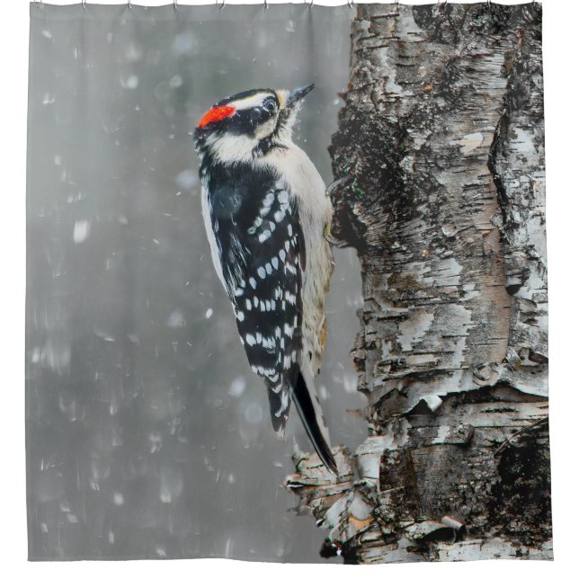 Downy Woodpecker in Snow - Original Photograph (Front)