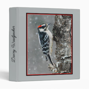 Downy Woodpecker in Snow - Original Photograph Binder