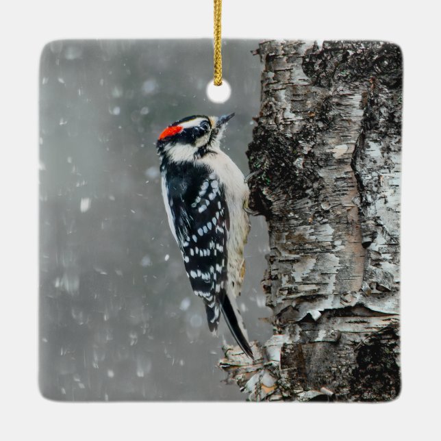 Downy Woodpecker in Snow - Original Photograph Ceramic Ornament (Back)