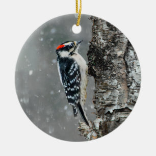 Downy Woodpecker in Snow - Original Photograph Ceramic Ornament