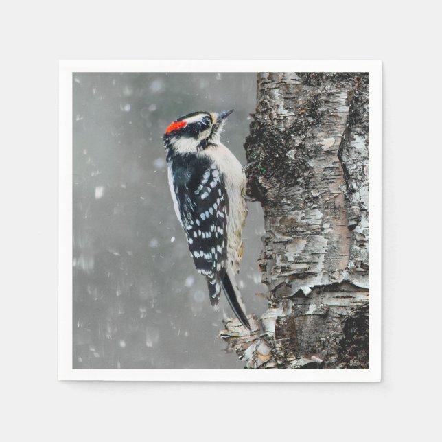 Downy Woodpecker in Snow - Original Photograph Napkin (Front)