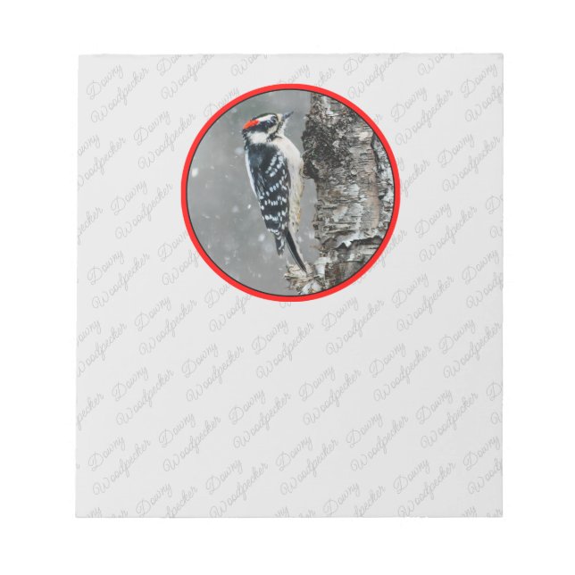 Downy Woodpecker in Snow - Original Photograph Notepad (Front)