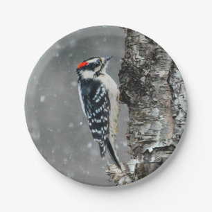 Downy Woodpecker in Snow - Original Photograph Paper Plate