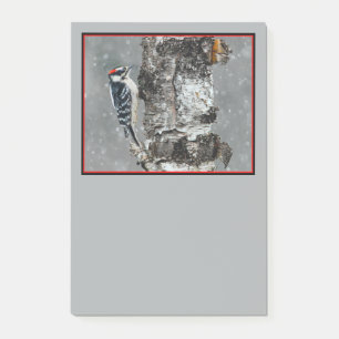 Downy Woodpecker in Snow - Original Photograph Post-it Notes