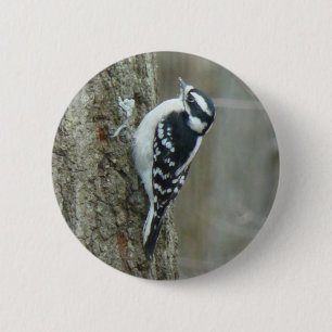 Downy Woodpecker Items 2 Inch Round Button