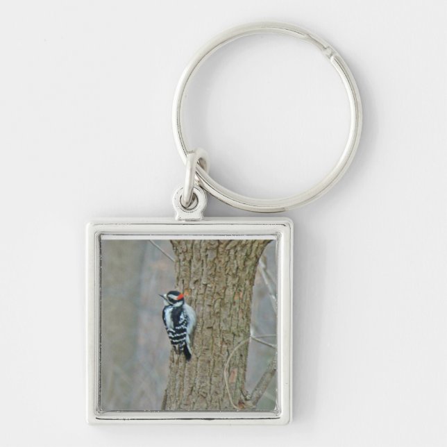 Downy Woodpecker Items Keychain (Front)