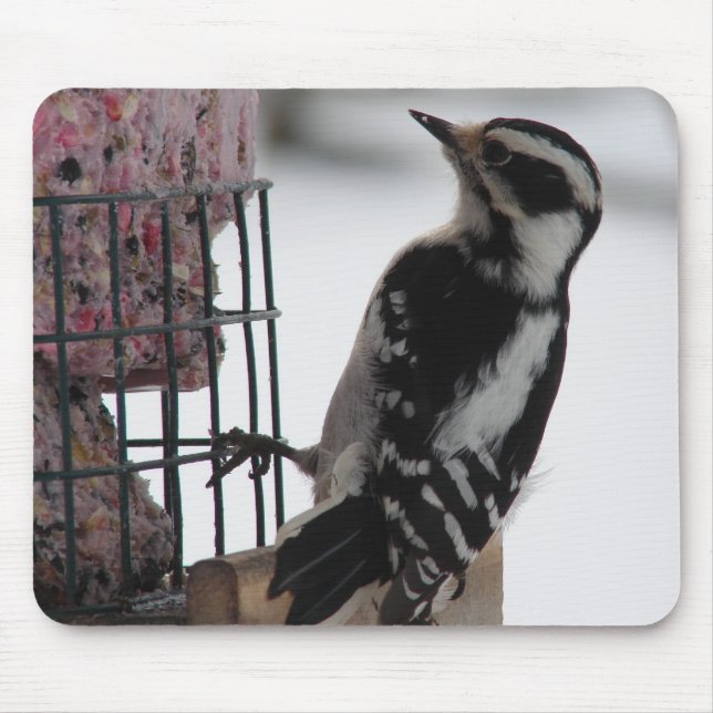 Downy Woodpecker Mouse Pad (Front)