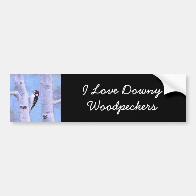Downy Woodpecker Painting - Original Bird Art Bumper Sticker (Front)