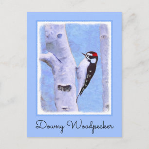 Downy Woodpecker Painting - Original Bird Art Postcard