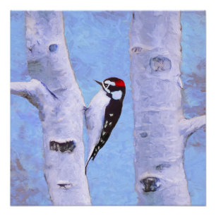 Downy Woodpecker Painting - Original Bird Art Poster