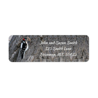 Downy Woodpecker Return Address Label