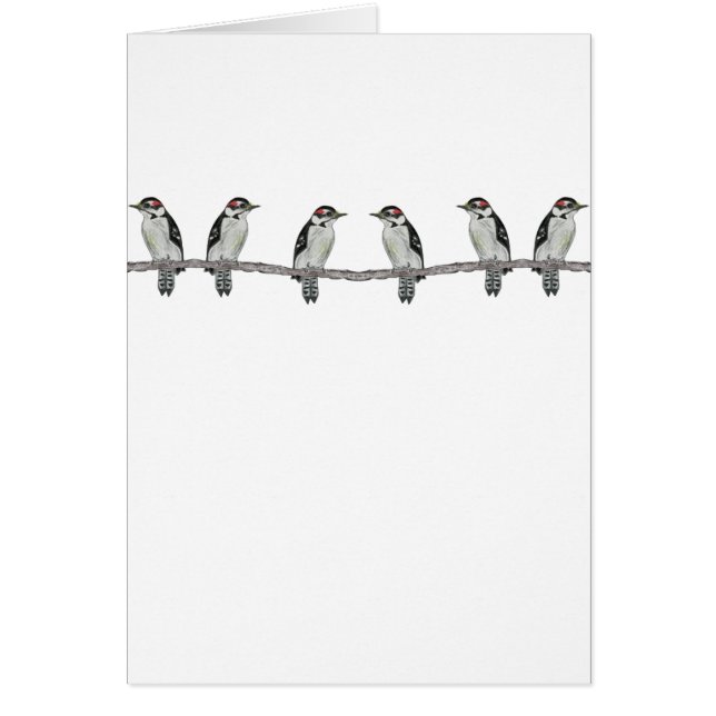 Downy Woodpeckers Party Invitation Card (Front)