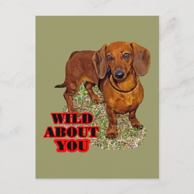 Doxi Lover Postcard (Front)