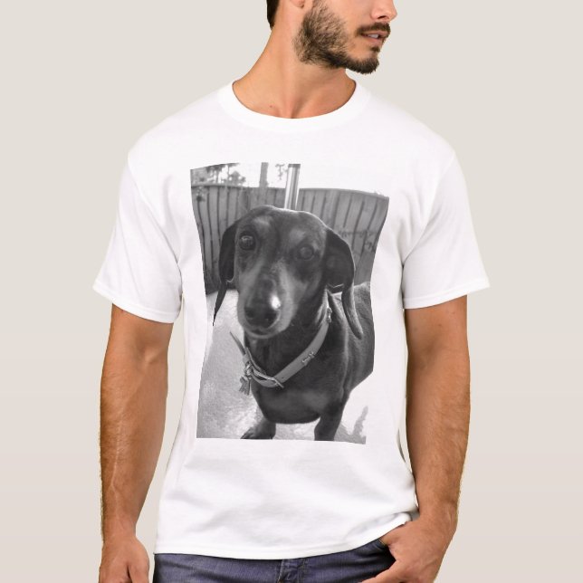 Doxie cakes T-Shirt (Front)