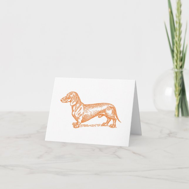 Doxie classique - Carte blanche orange (Devant)