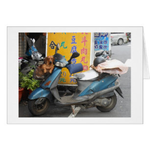 Doxie dans la carte de panier