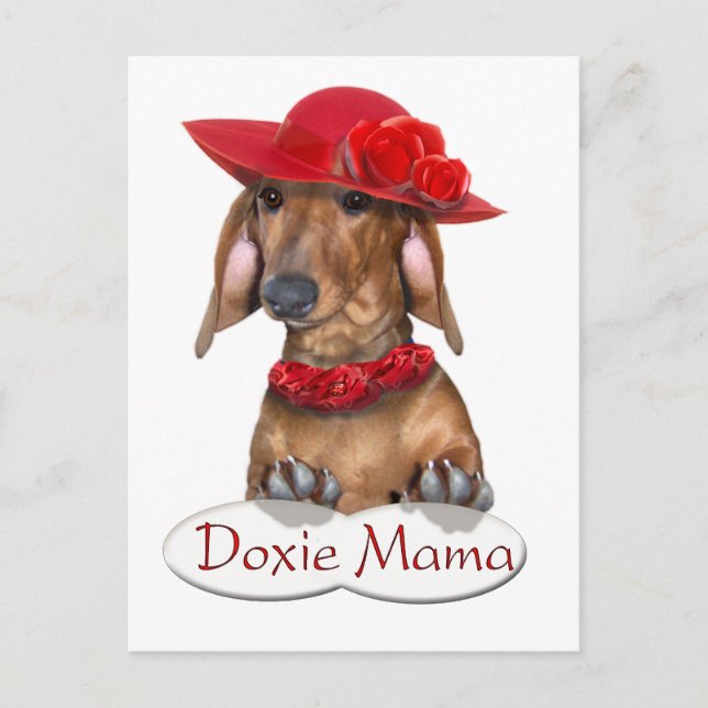 Doxy Mama Postcard (Front)