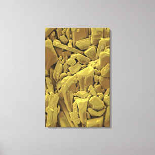 Doxycycline is a member of the tetracycline antibi canvas print