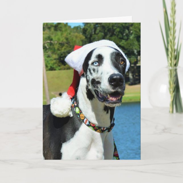 Dozer Christmas Cards (Front)