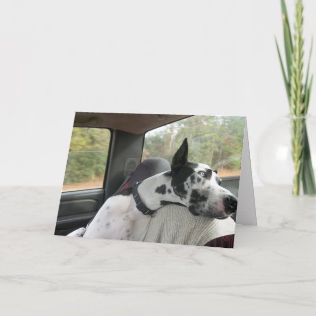 Dozer Greeting Card (Front)