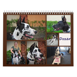 Dozer the Therapy Dog Calendar