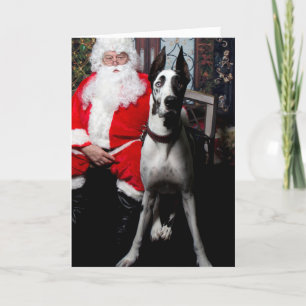 Dozer the Therapy Dog, Christmas Cards