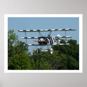 DR1 239/17 On Final! Poster