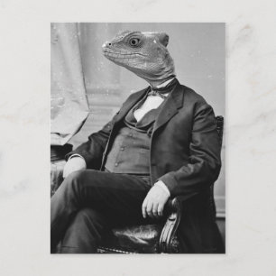 Dr. Lizard Postcard