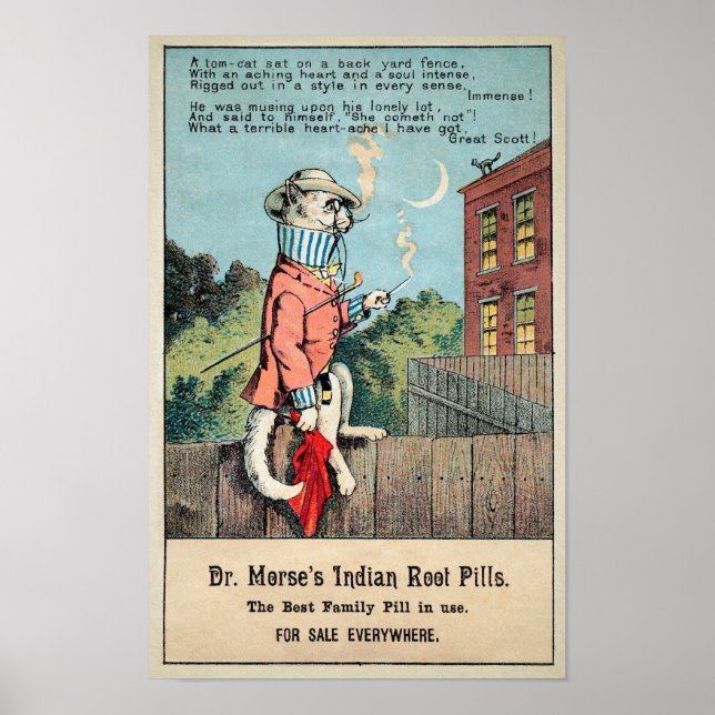 Dr Morse Cat Trade Card #1 (of 4) Poster (Front)