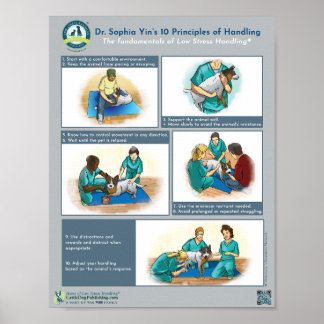 Dr. Yin's 10 Principles of Handling Dogs Poster
