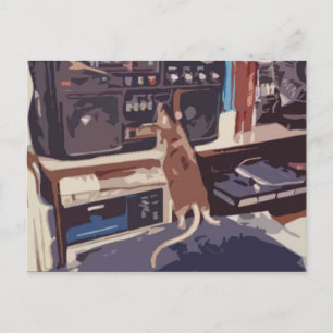 Drac And The Stereo Postcard