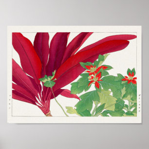 Dracaena, Poinsettia by Tanigami Konan Poster