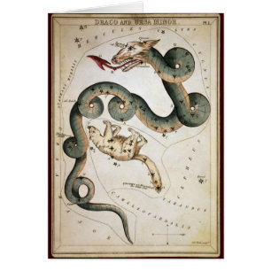 Draco and Ursa Minor