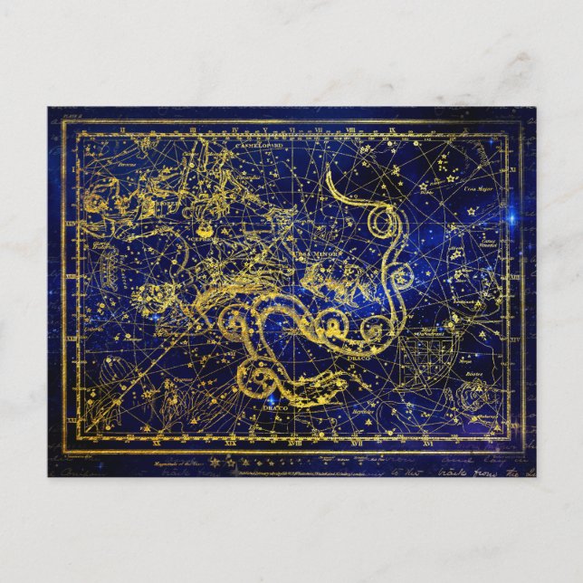 Draco Gold Constellation Faux   Postcard (Front)
