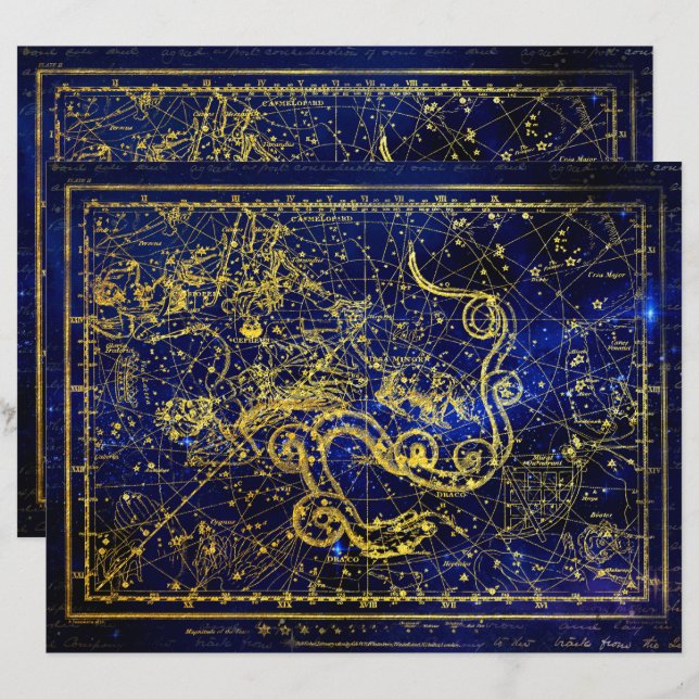 Draco Gold Constellation Scrapbook Paper (Front/Back)