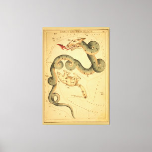 Draco the Dragon - Vintage Astronomical Star Chart Canvas Print