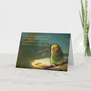 Dracula Calories Card