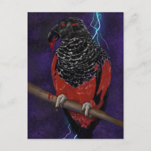 Dracula Parrot  Postcard