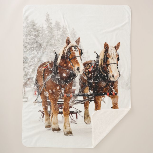 DRAFT HORSES in the SNOW Sherpa Blanket (Front)