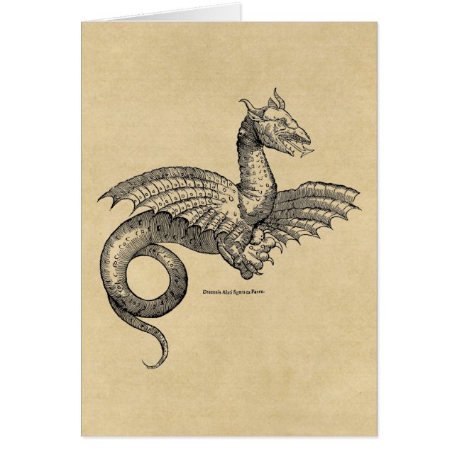 Dragon à ailes (Devant)