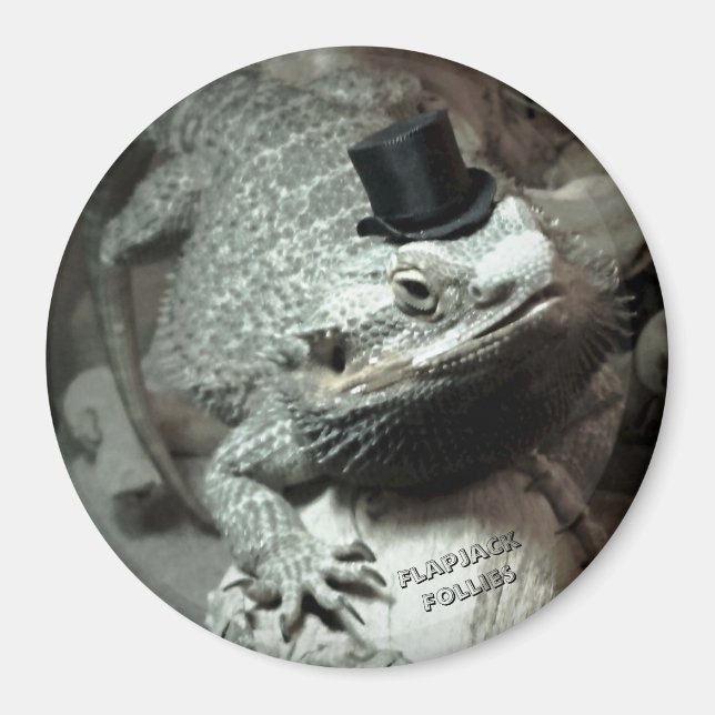 Dragon à poils dans un aimant de chapeau supérieur (Devant)
