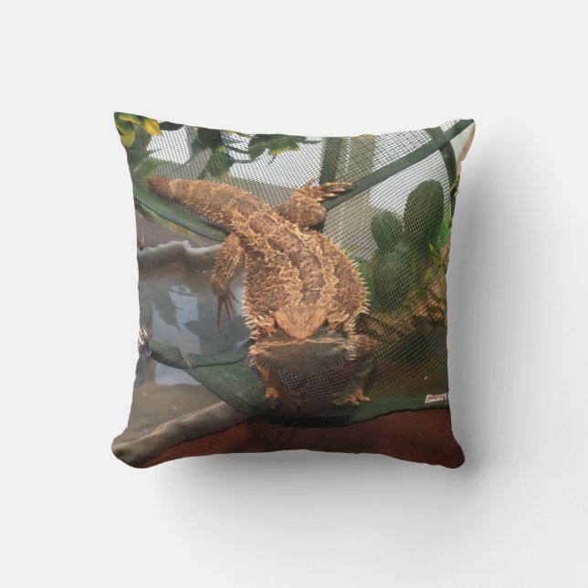 Dragon barbu et coussin voilé de caméléon (Recto)